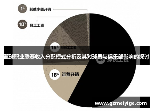 篮球职业联赛收入分配模式分析及其对球员与俱乐部影响的探讨